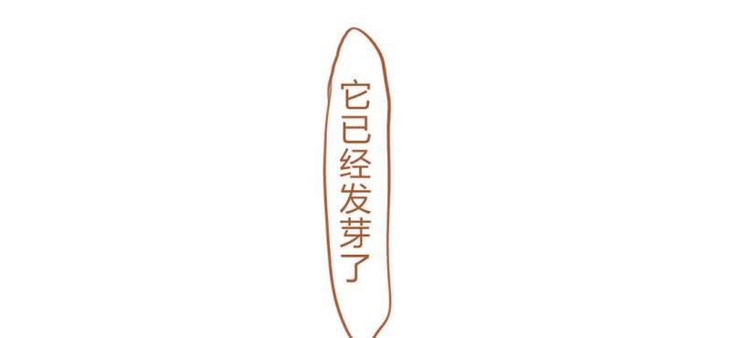 第十五话 旎妹（下）(1/3)-第16话