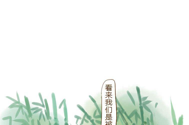 第二十话 竹林(1/2)-第22话