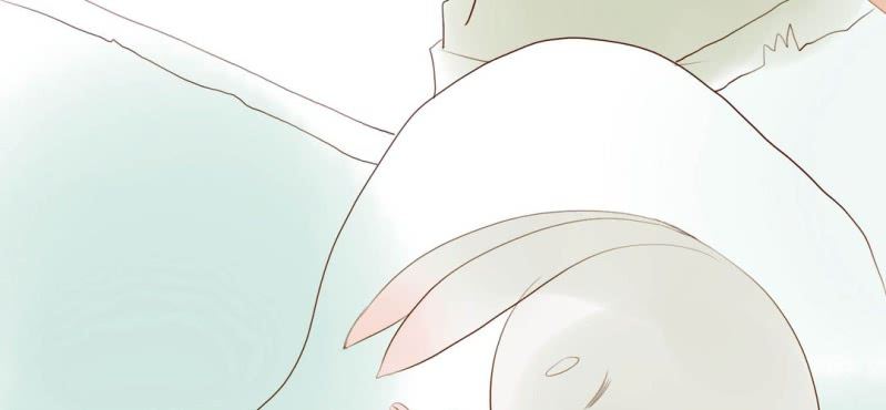 第七话 （下）兔子(1/3)-第8话