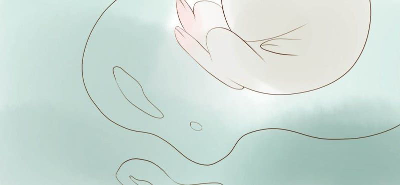 第七话 （下）兔子(1/3)-第8话