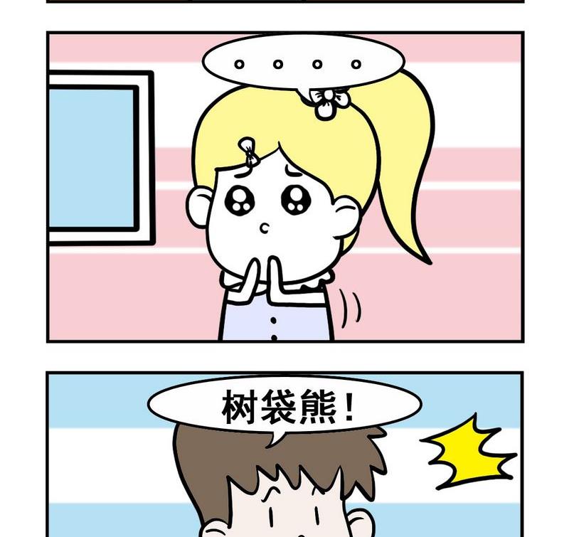 🍱生日 4 树袋熊 第2页