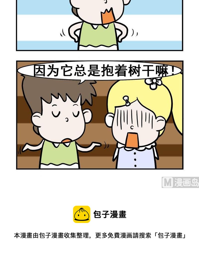 🍱生日 4 树袋熊 第3页