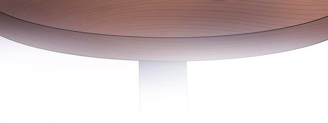 🍱盛少的浪漫攻略 第05话 未来的盛夫人 第16页