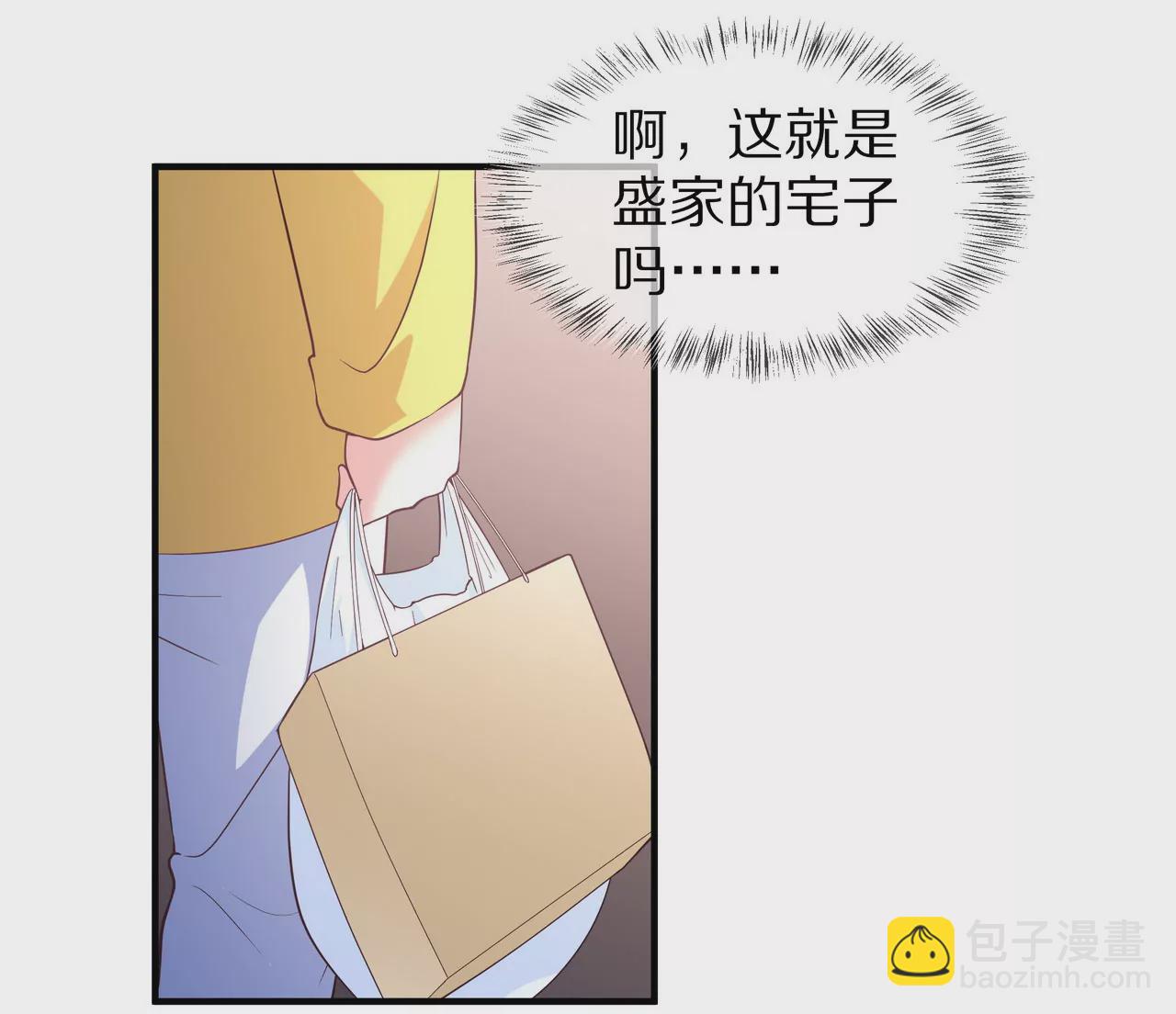 🍱盛少的浪漫攻略 第52话 来豪宅做客 第37页