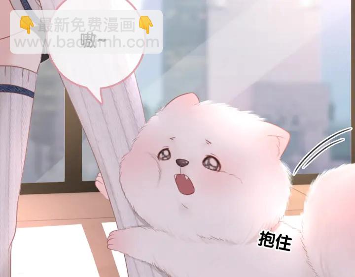 第20话 带着&ldquo;儿子&rdquo;上节目(1/3)-第22话
