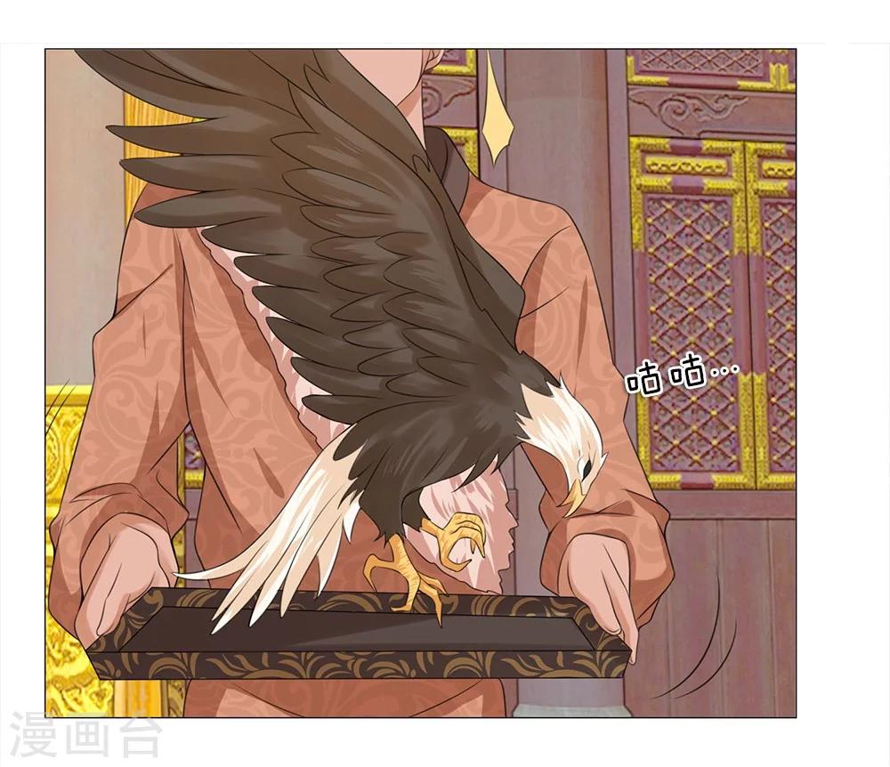 第65话 雄鹰展翅-第58话