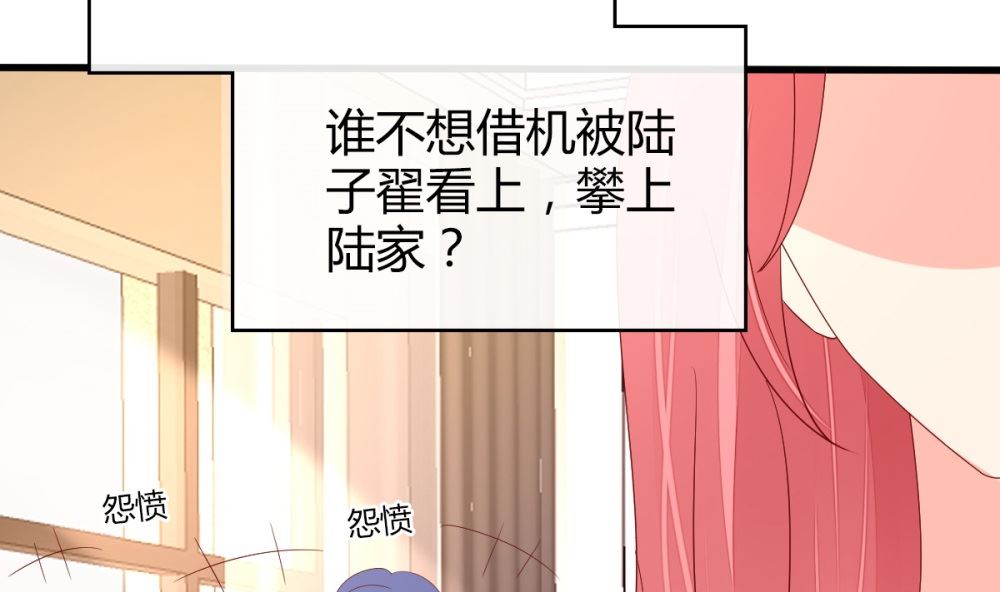 第71话 陆家不是她永久的避难所(1/2)-第72话