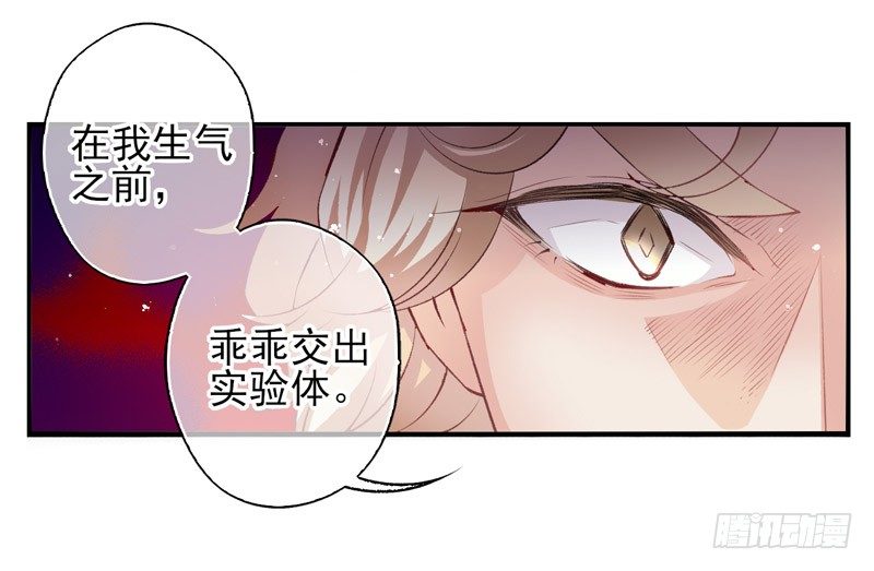 第11话：正面交锋（上）-第20话