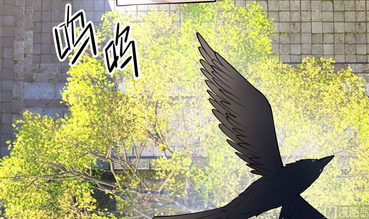 第6话 机会来了(1/2)-第6话