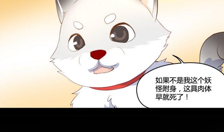 第2话 肉丸说话 了？！-第2话