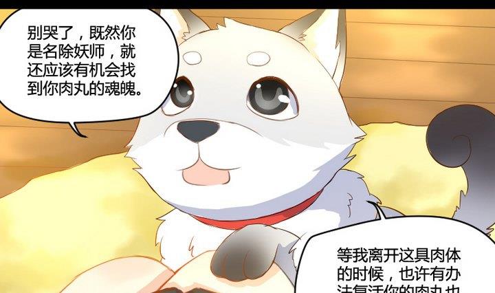 第2话 肉丸说话 了？！-第2话