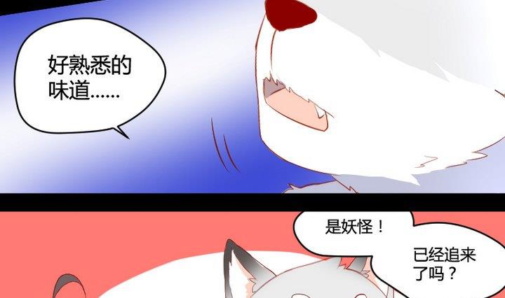 第2话 肉丸说话 了？！-第2话