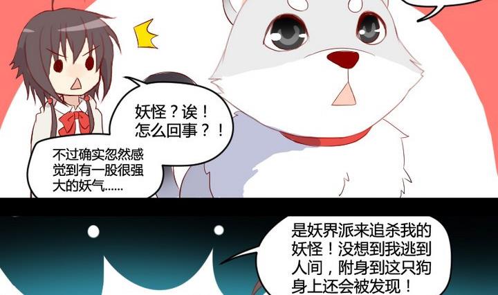 第2话 肉丸说话 了？！-第2话