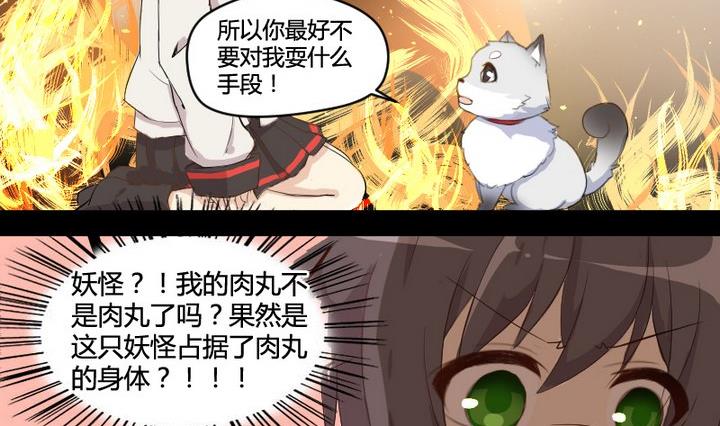 第2话 肉丸说话 了？！-第2话