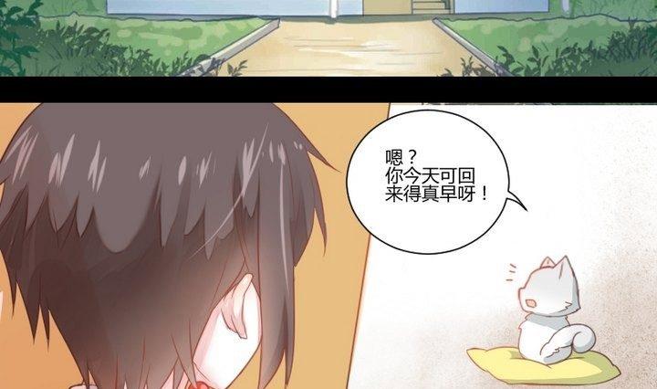 第29话 心疼肉丸！(1/2)-第16话