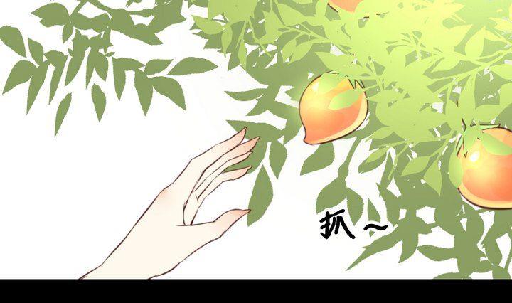 第53话 果实-第40话