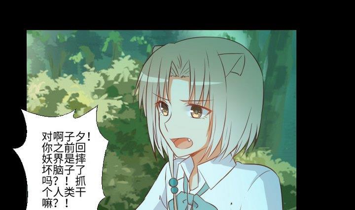 第92话 犬猫鼠的&ldquo;三角恋&rdquo;-第78话