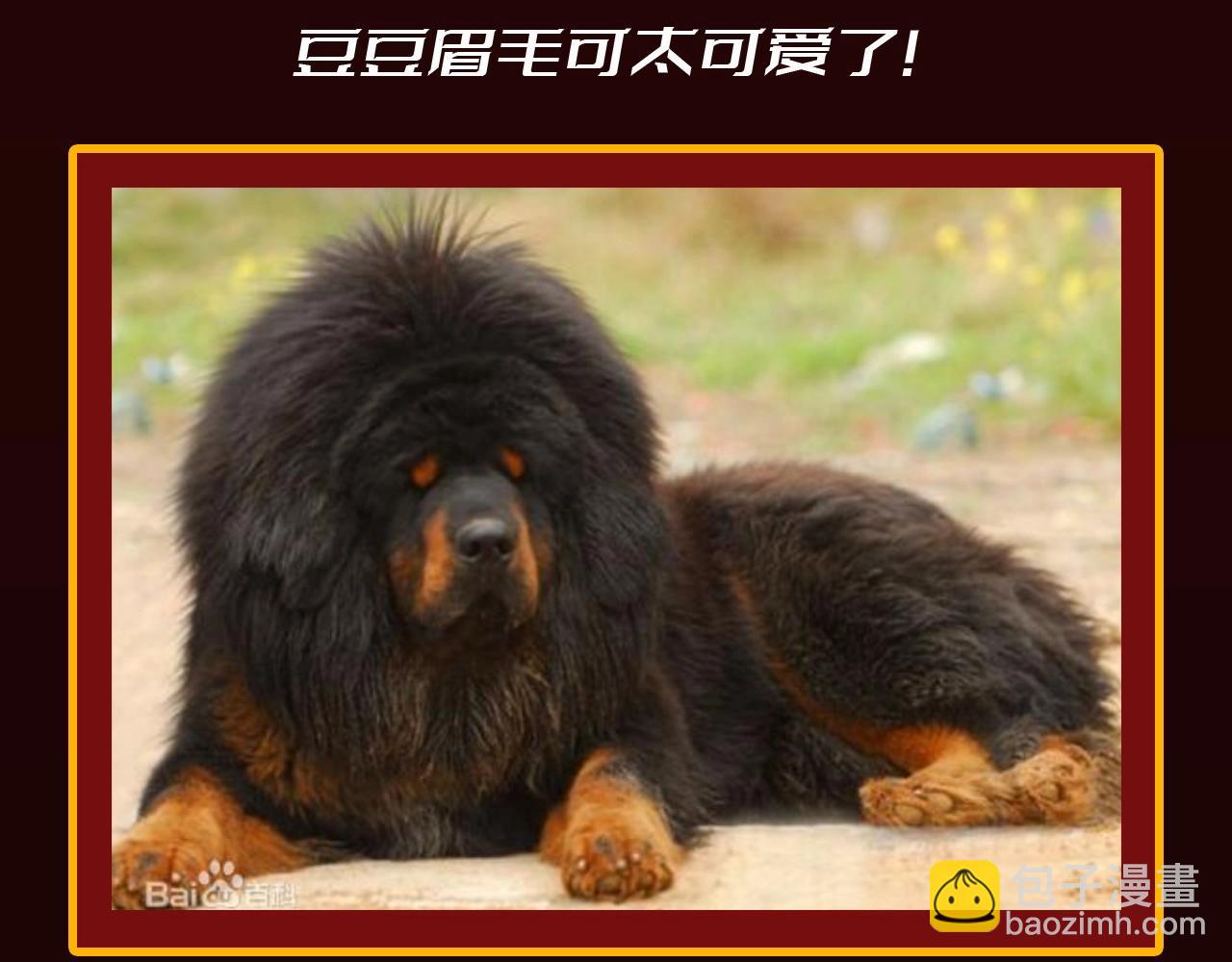 🍱圣墟 第23期 整活企划：圣墟中兽王，原型长这样？ 第10页