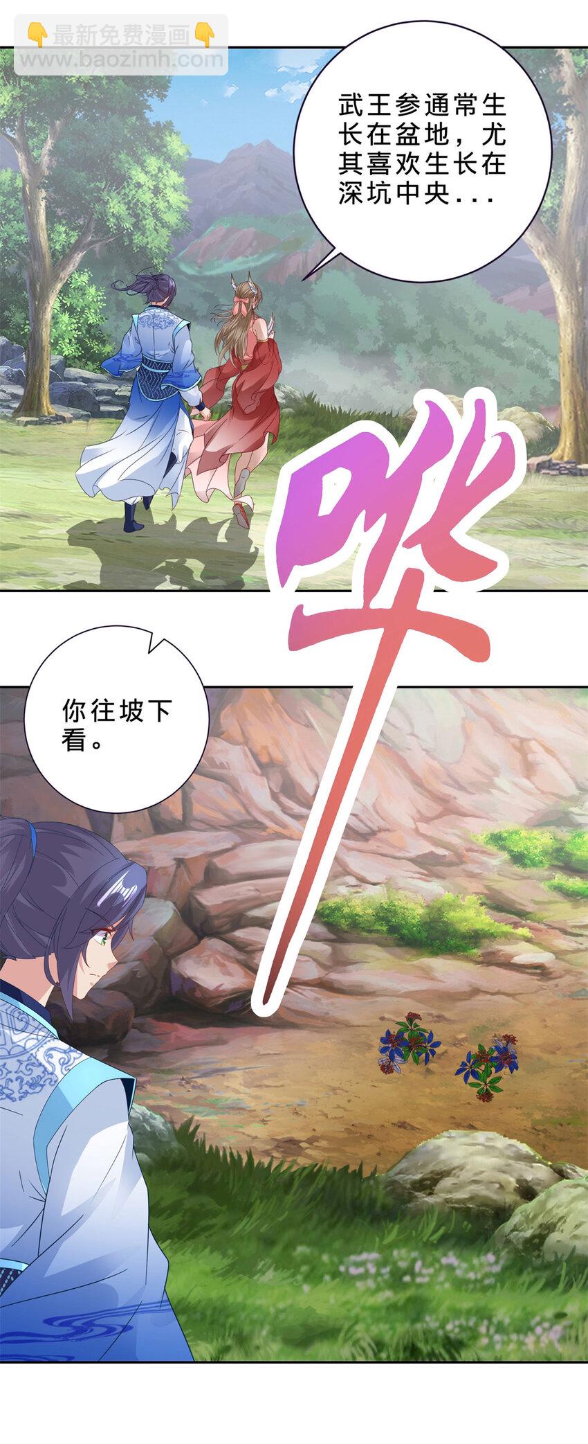 第373话 武王参只有两株-第374话