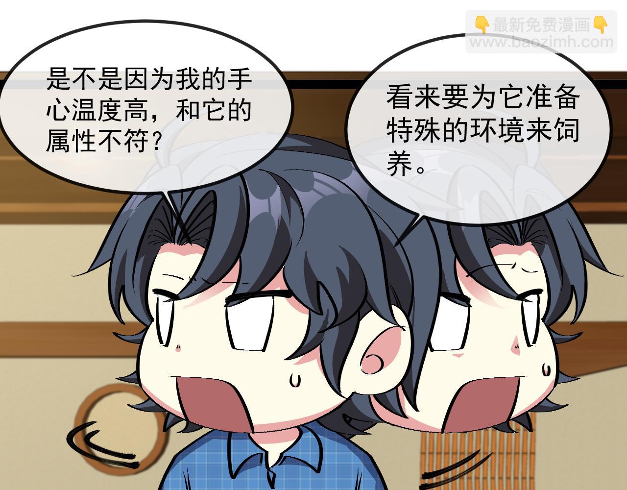 🍱神级升级系统 第142话 冰晶小鸟 第37页