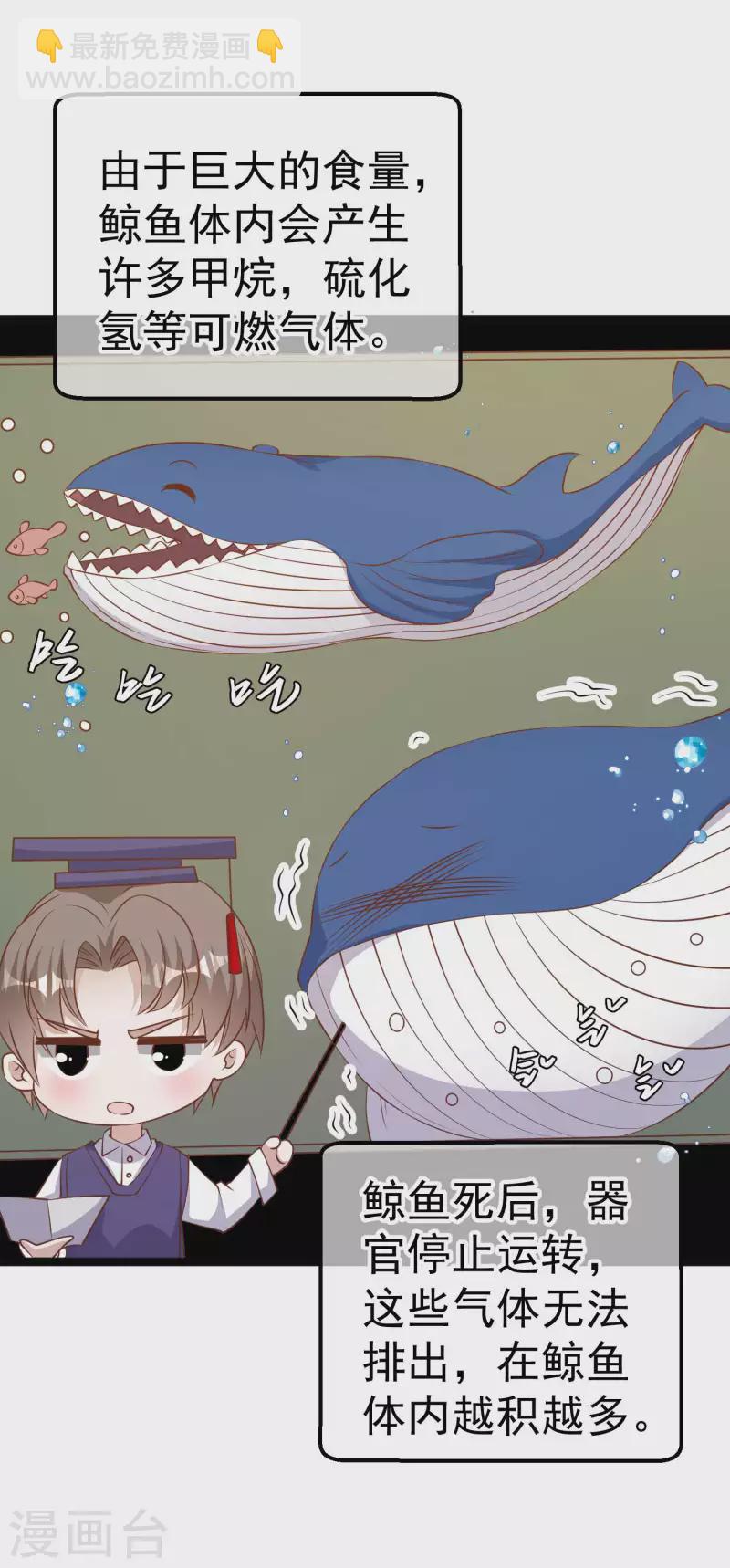 第234话 搬鲸鱼-第240话