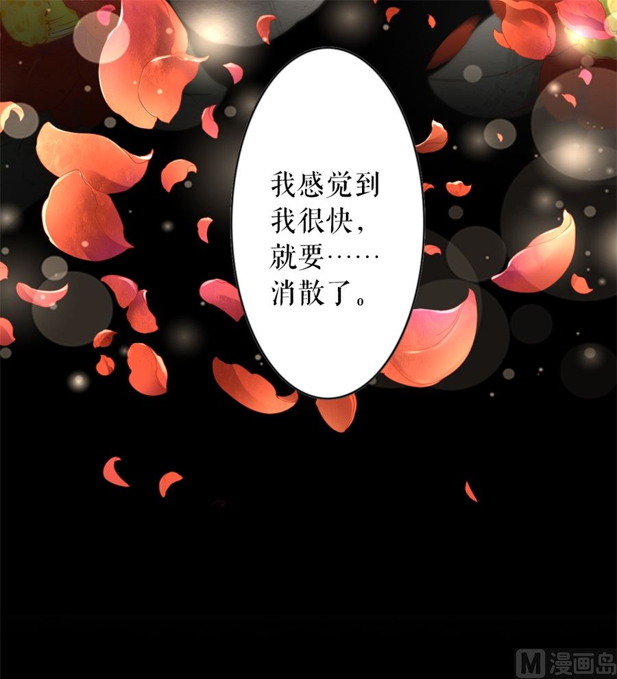 第204话-第204话