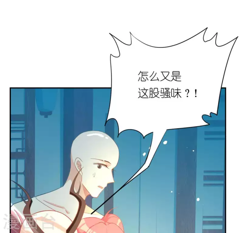 第24话 偷发大盗是狐狸？(1/2)-第24话