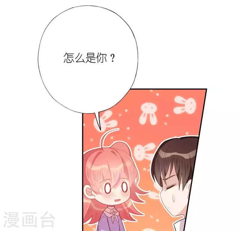 第24话 偷发大盗是狐狸？(1/2)-第24话