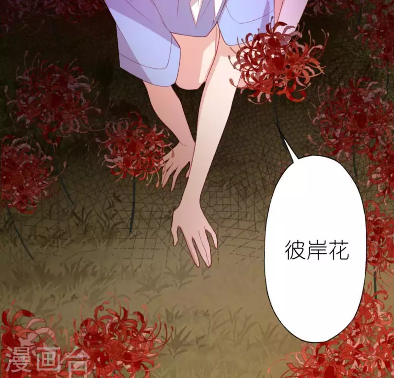 第32话 一梦三生(1/2)-第32话