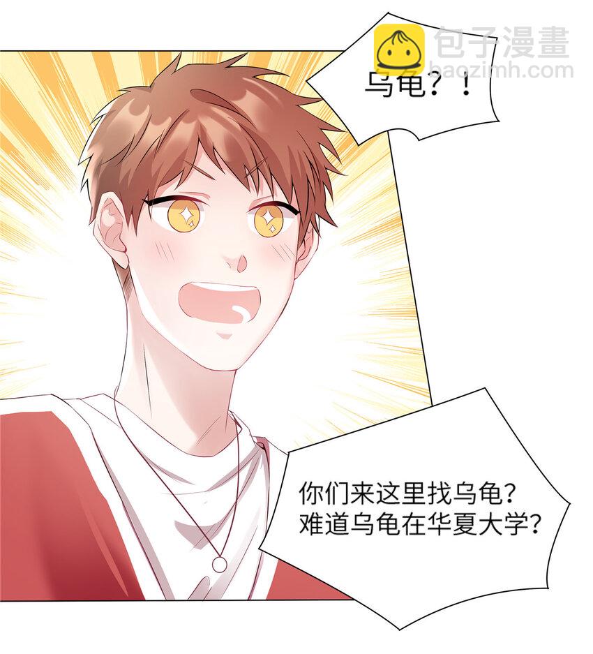 34 真的请来了乌龟？-第34话