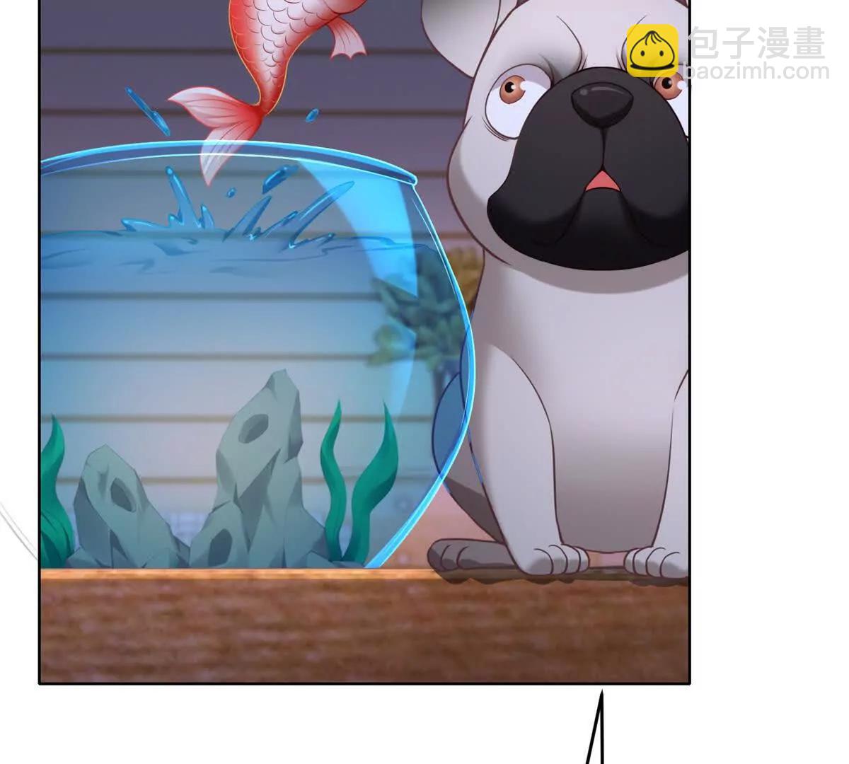 第17话 孔雀鱼暴露(1/3)-第18话