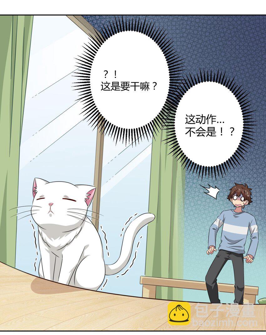 008 猫娘？喵娘？-第8话