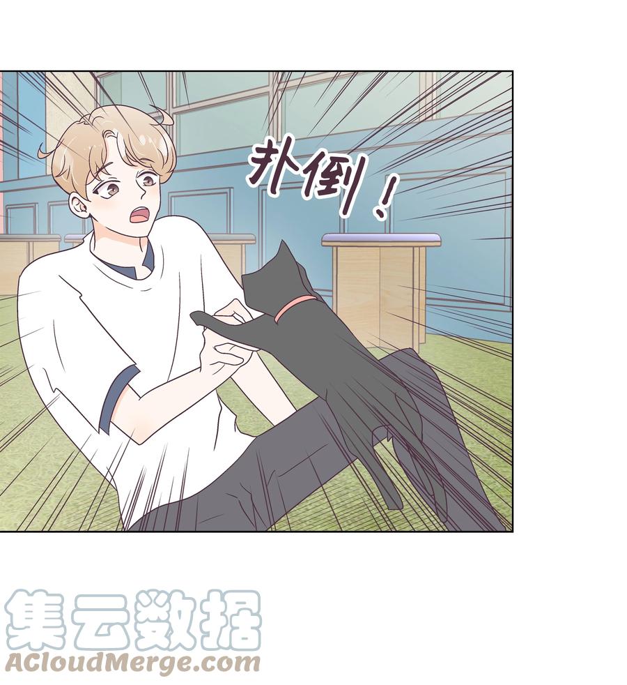 46 喜欢的女生(1/2)-第46话