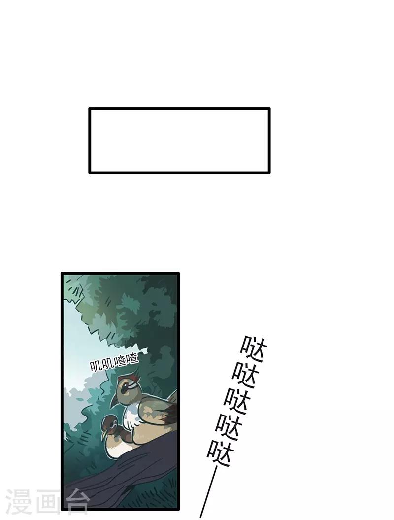 第11话 菜鸡互啄-第12话