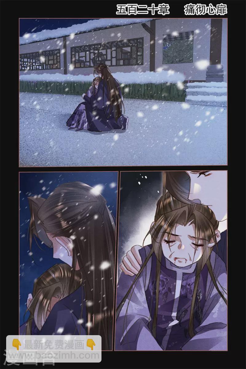 🍱神医嫡女 第520话 痛彻心扉 第2页