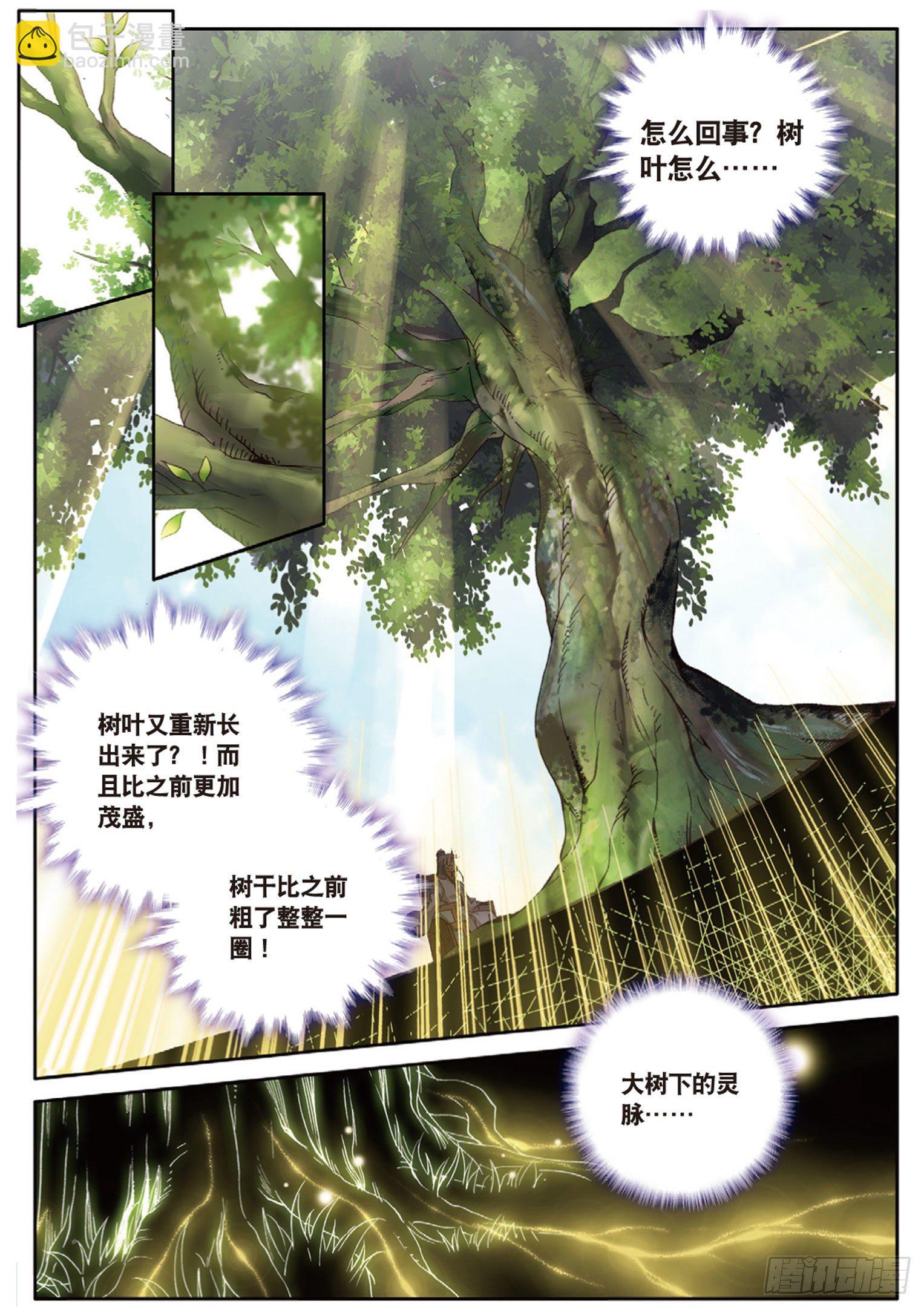 🍱神印王座外传 大龟甲师 第12话 轰动八方城（上） 第3页