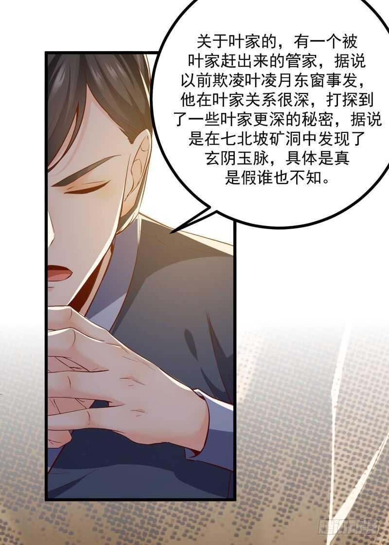第48话 叶家危机-第38话