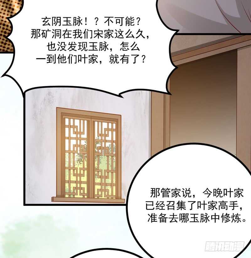 第48话 叶家危机-第38话