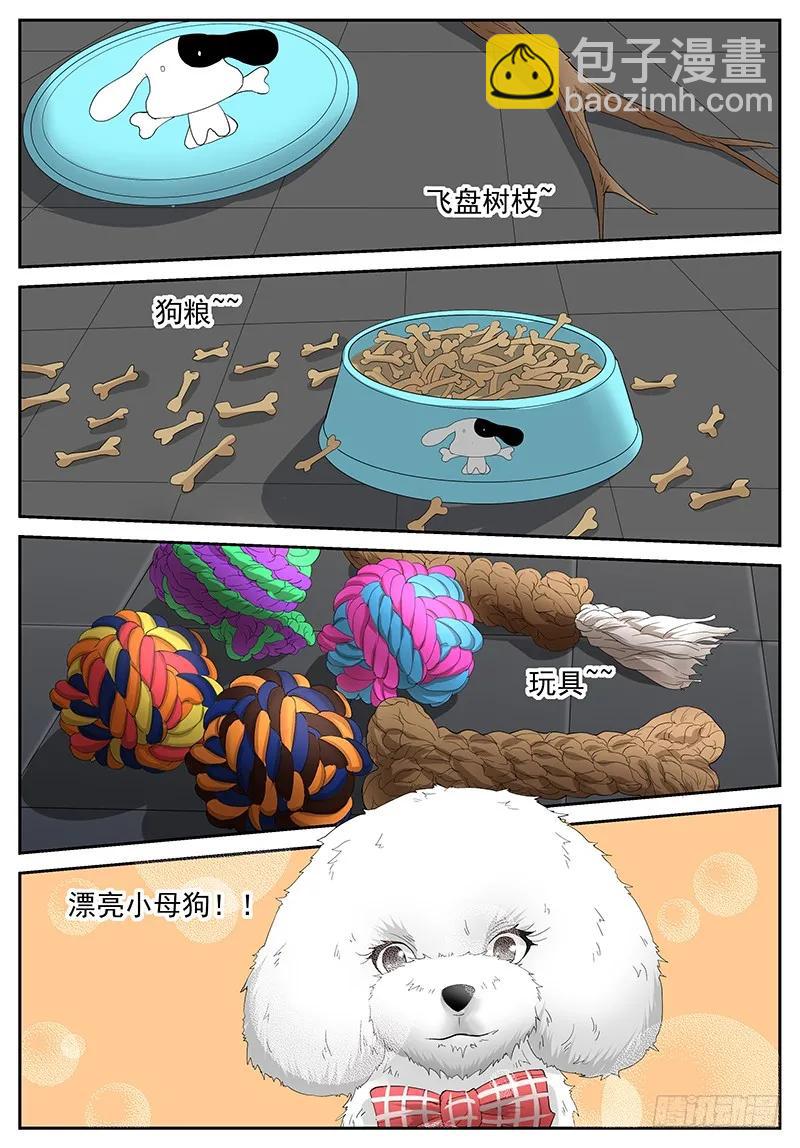 🍱神俑降临 299 突如其来的丘比特之箭 第3页