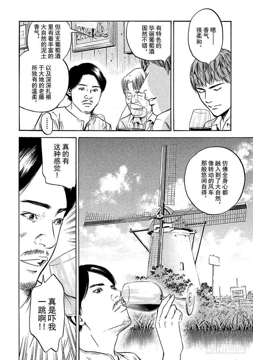 🍱神之雫（神之水滴） #200 圣埃米利翁，这不变的美 第13页