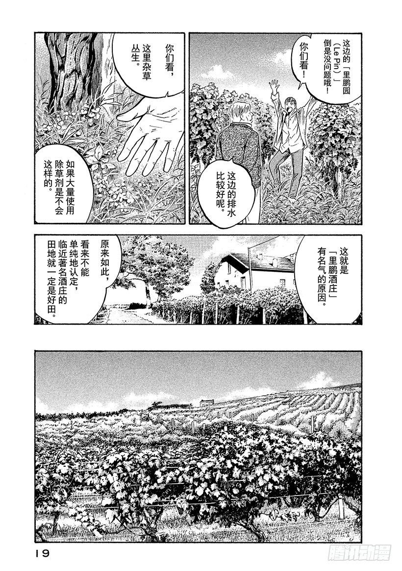🍱神之雫（神之水滴） #200 圣埃米利翁，这不变的美 第20页