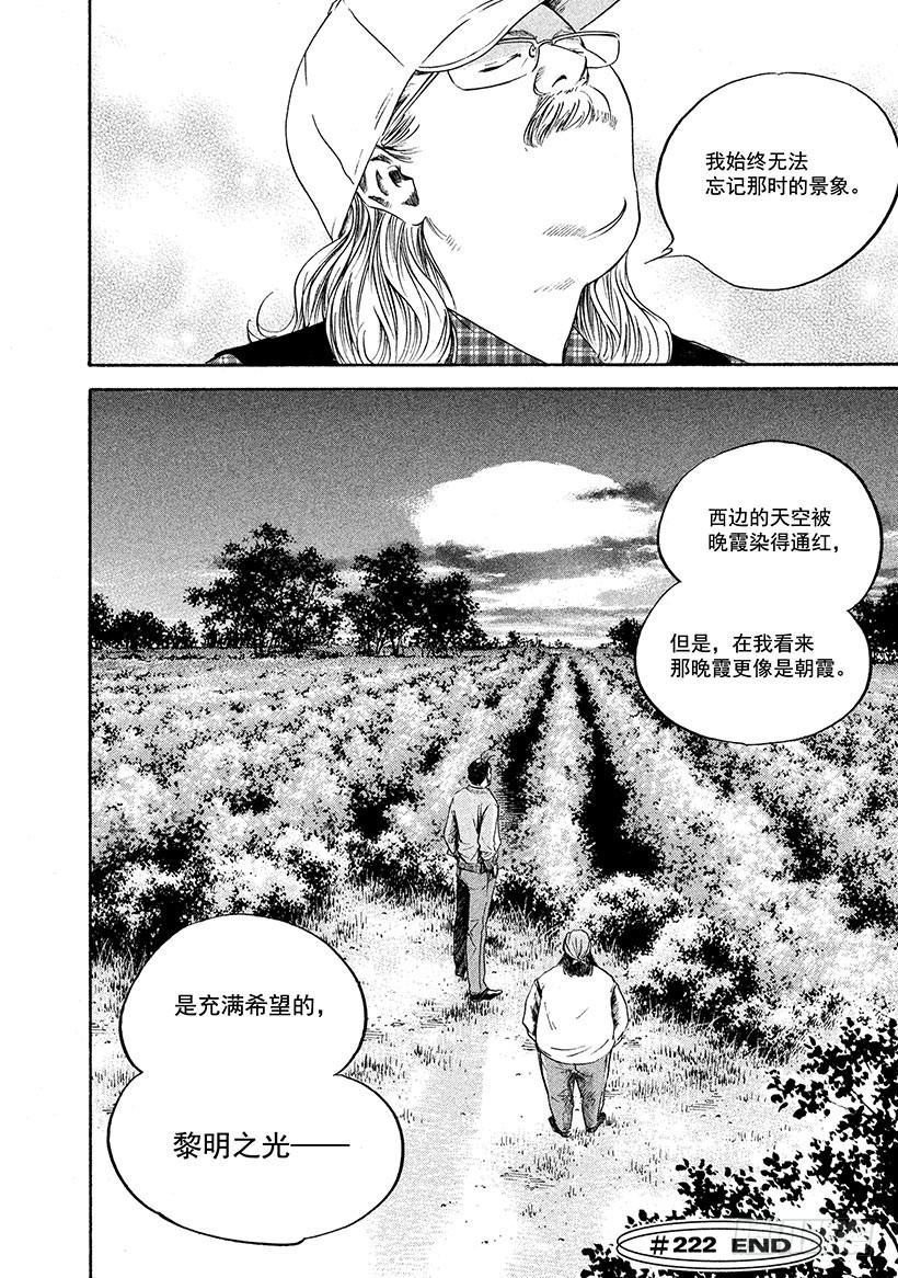 🍱神之雫（神之水滴） #222 被染红的黄昏地平线上， 第20页