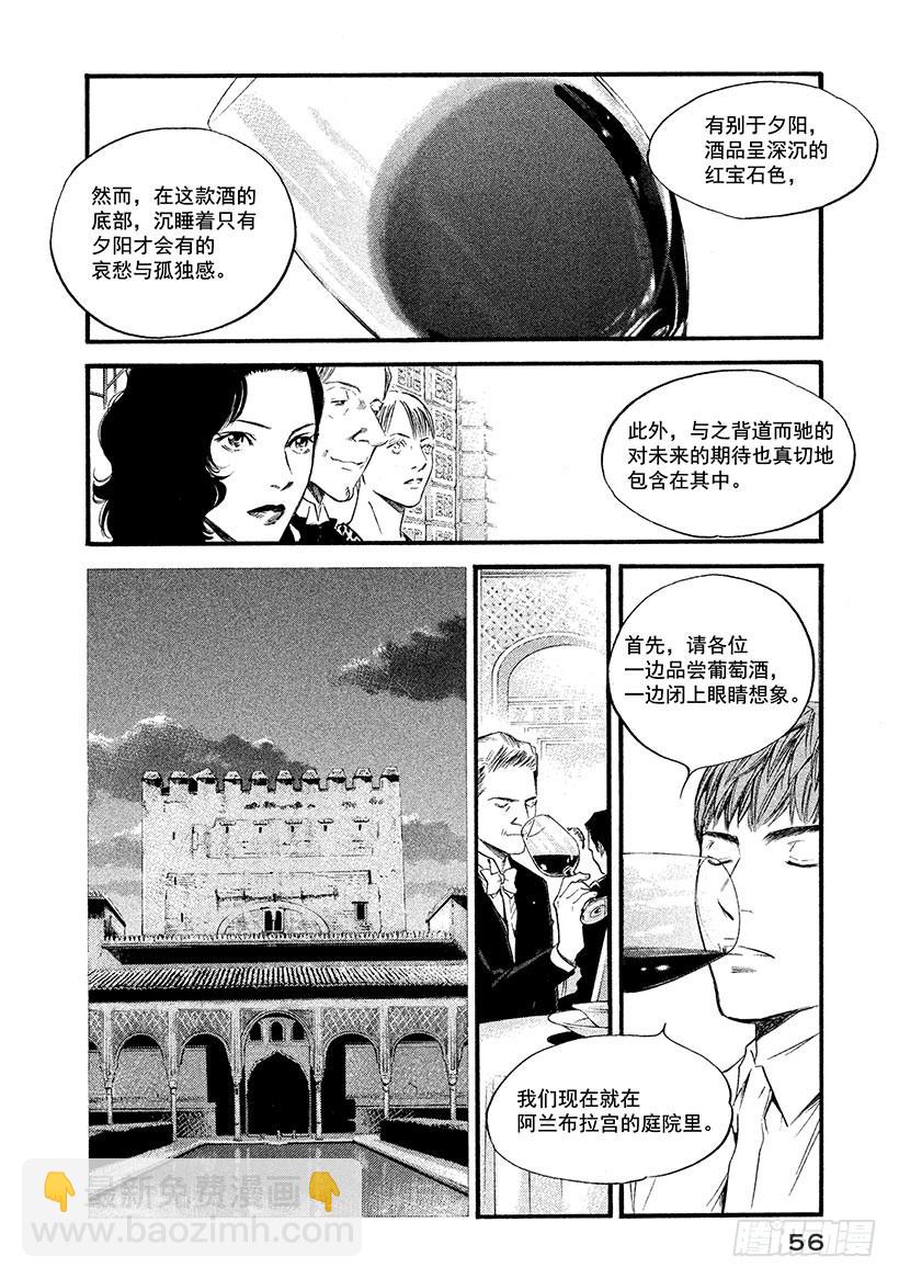 🍱神之雫（神之水滴） #372 格拉纳达的夕阳 第10页