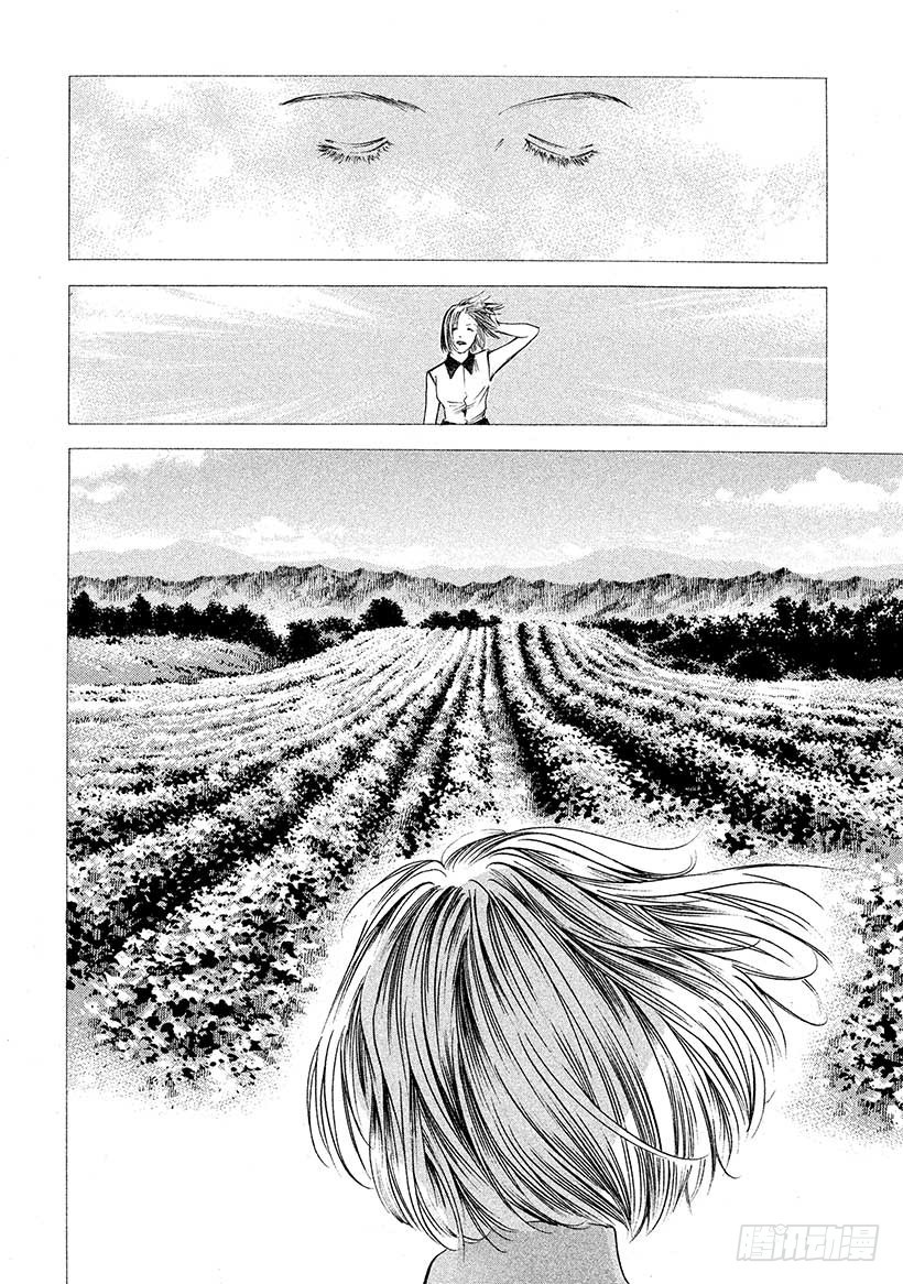 🍱神之雫（神之水滴） #412 葡萄的勋章 第17页