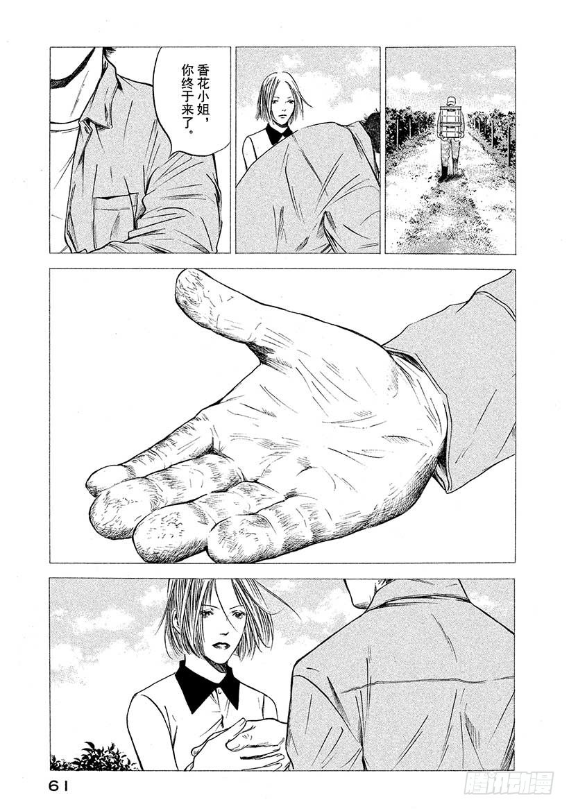 🍱神之雫（神之水滴） #412 葡萄的勋章 第18页