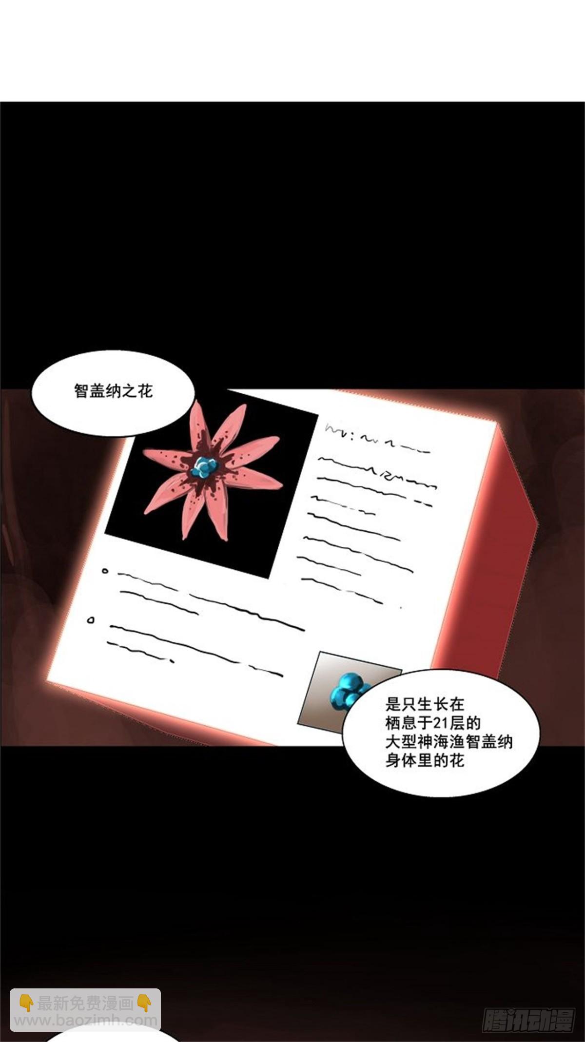 109.智盖纳之花（2）-第110话