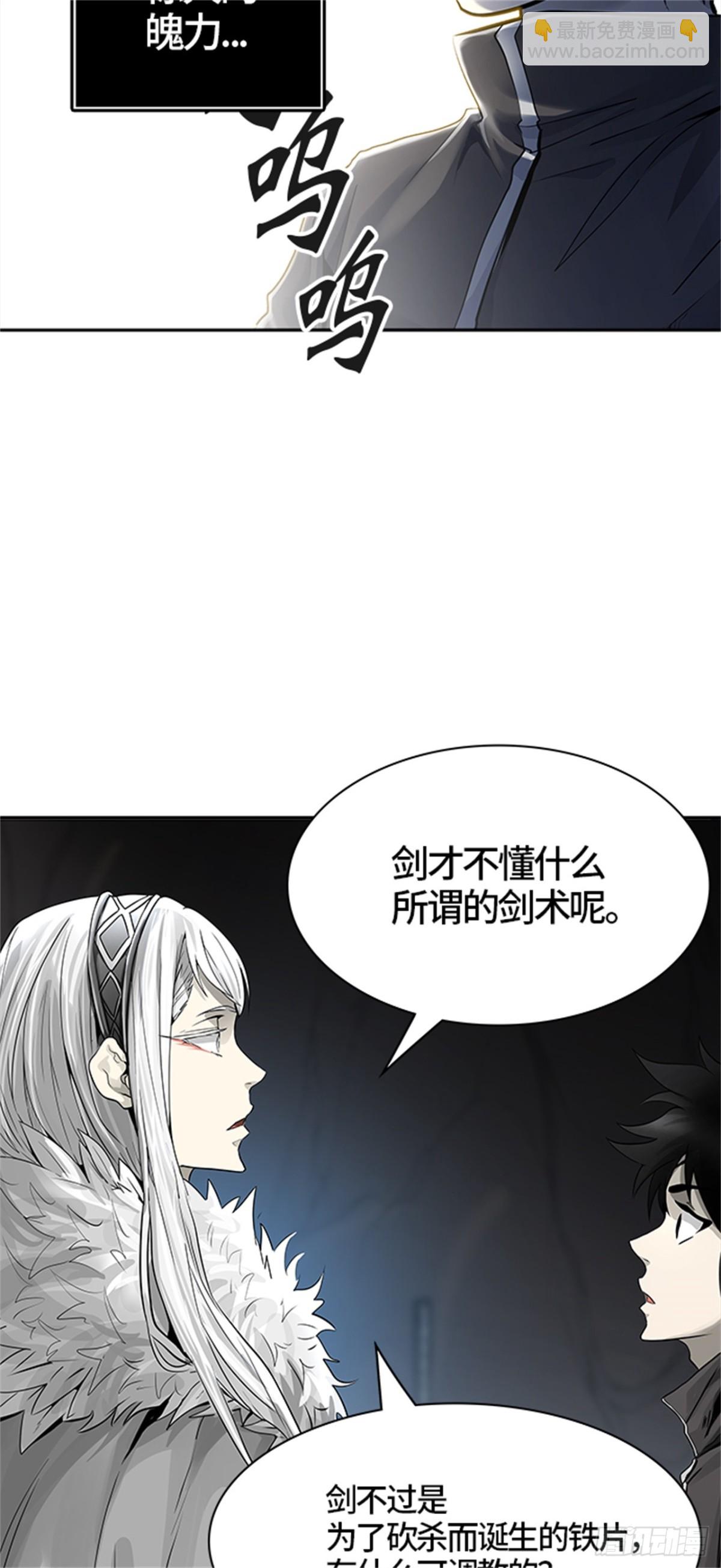 455.勿忘我沉睡的城墙（2）(1/3)-第456话