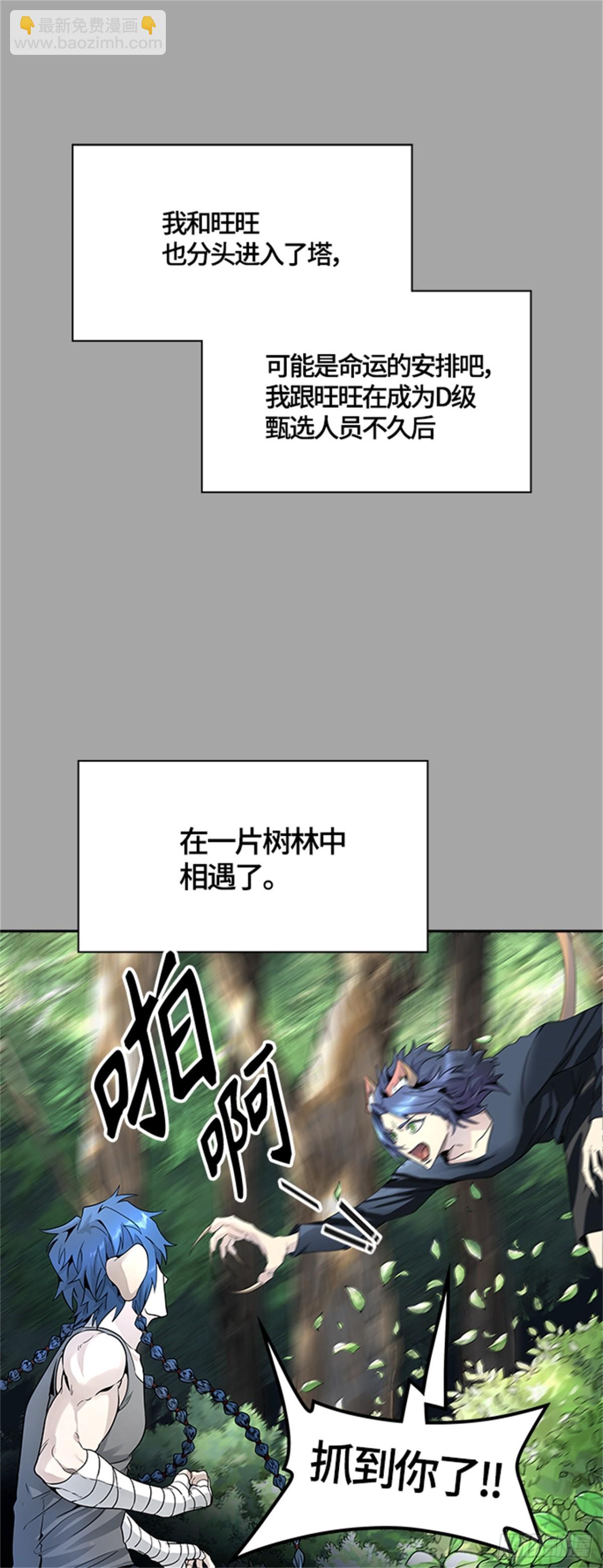 525.犬与猫(1/3)-第526话