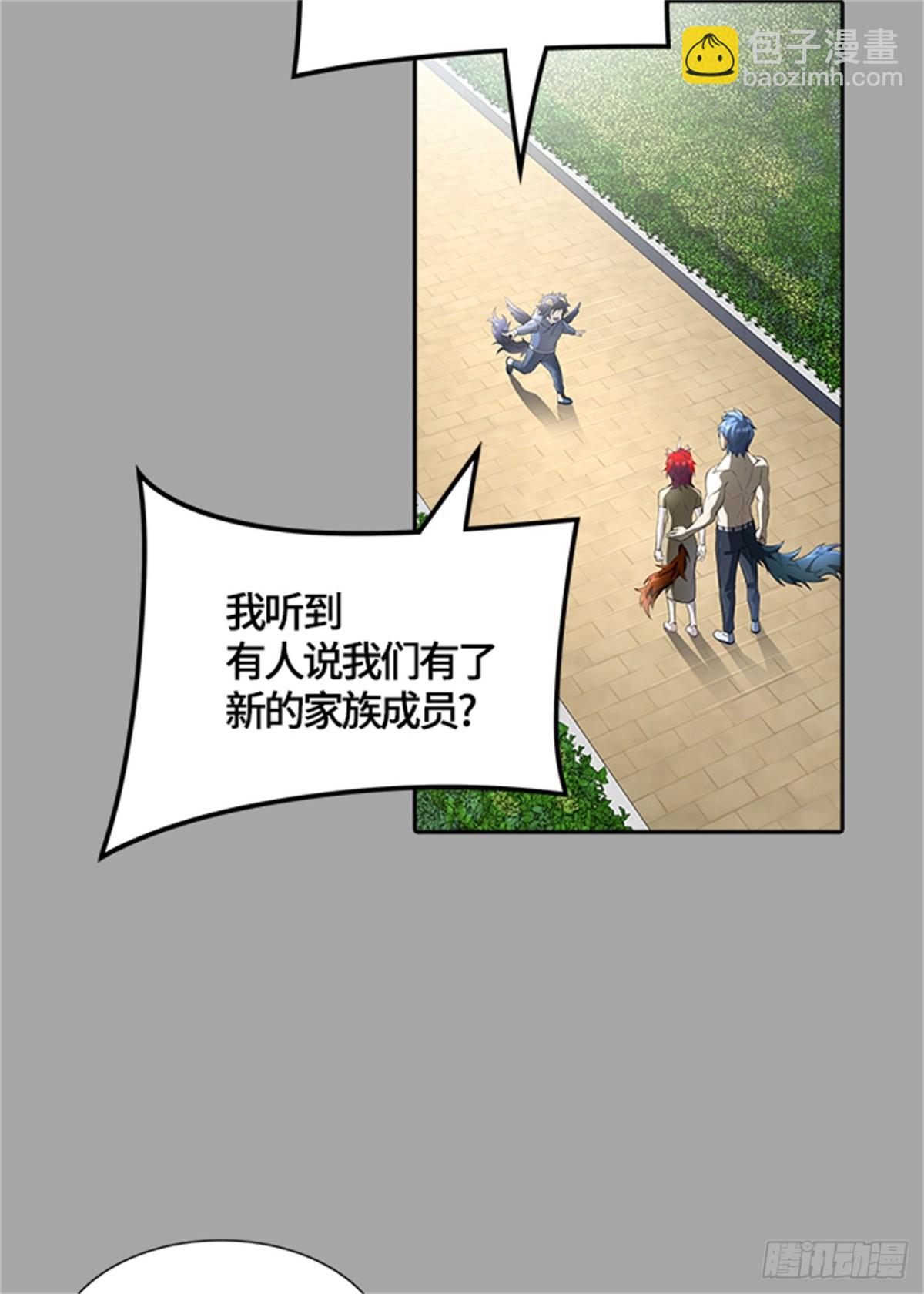 527.犬与猫（3）(1/2)-第528话