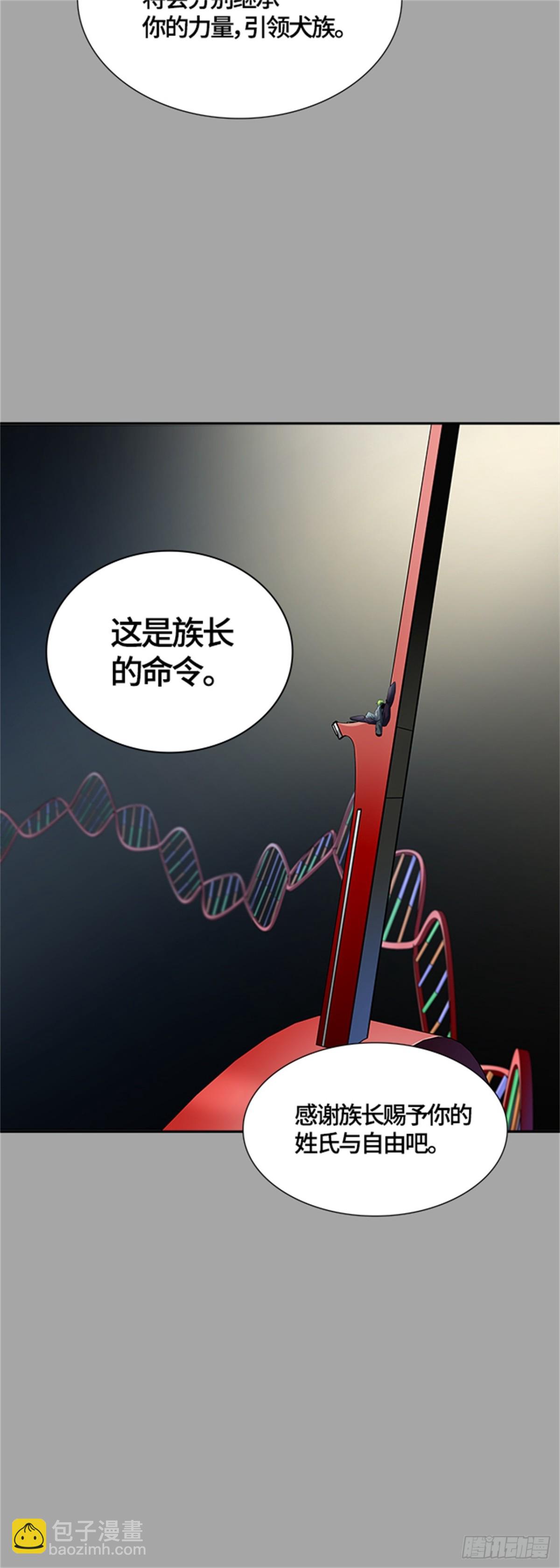 527.犬与猫（3）(1/2)-第528话